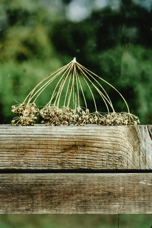 a wooden box sitting on a fence with flowers in it