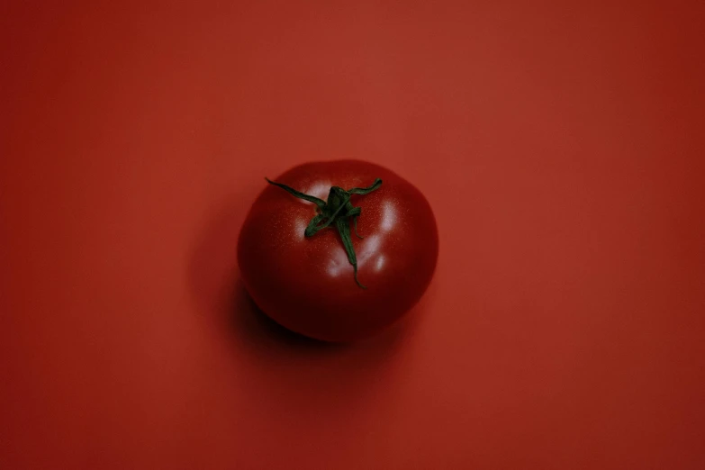 a red tomato sits on top of a counter