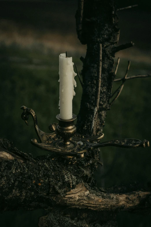 a candle with a flame is on a piece of wood in the middle of the grass