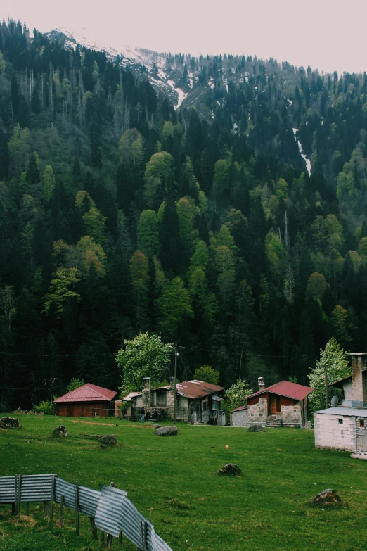 a couple of small houses are set in front of the woods