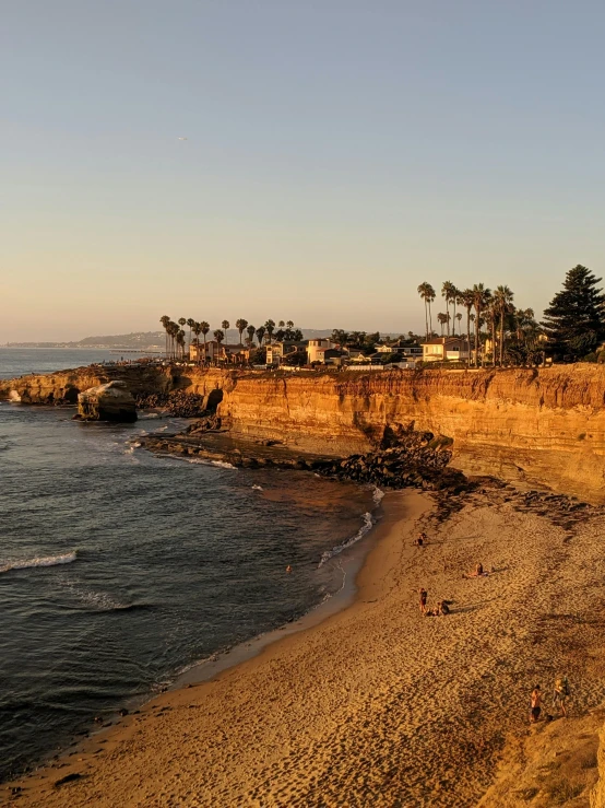 beach area with ocean, shoreline and trees