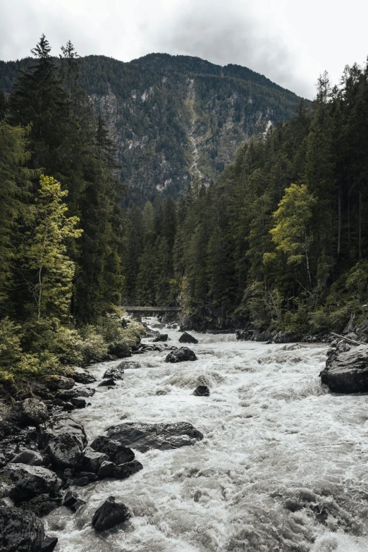 a creek that is running through some trees