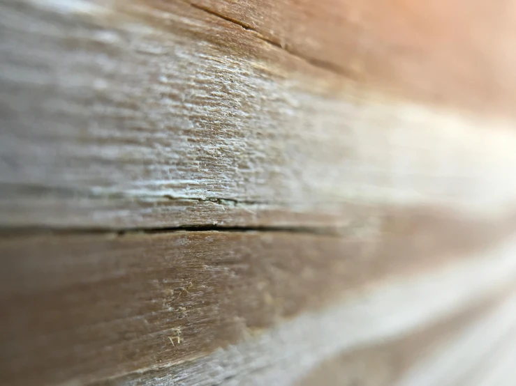 this is a close up picture of a wood grain pattern