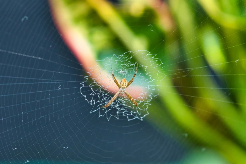 the spider is sitting on its web in the center of the spider's net