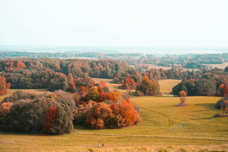 this is an image of the countryside and the trees