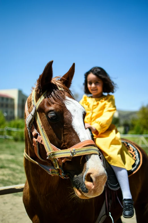 a little girl sitting on top of a horse