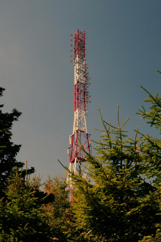 the tower with its roof is behind many trees