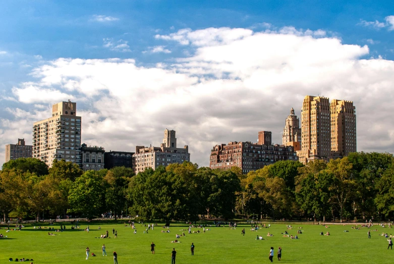 people in a field near many buildings