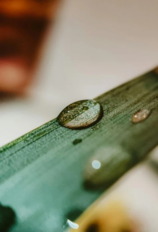 a knife with a drop of water on top