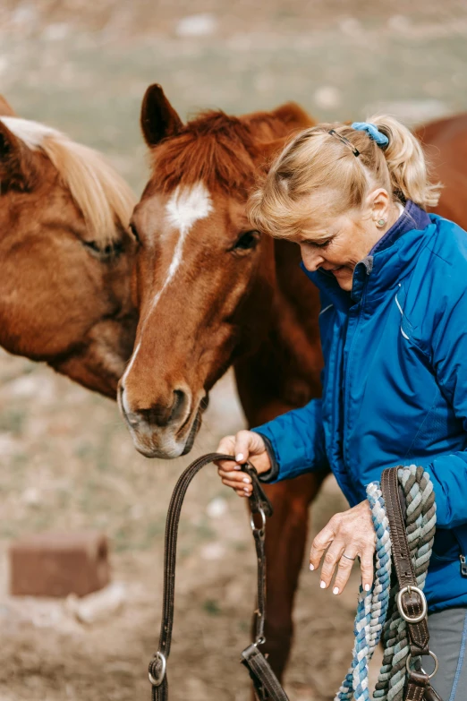 the woman pets the horse's bridle and a halter