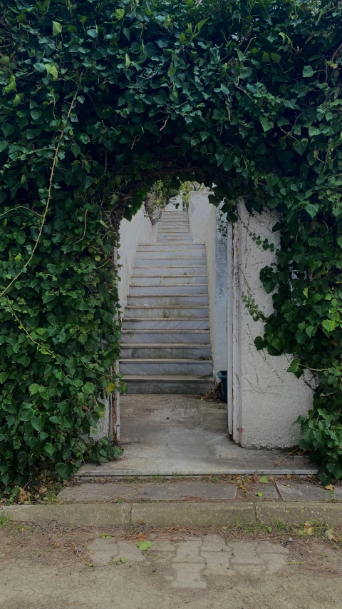 a set of stairs going up to a very big door