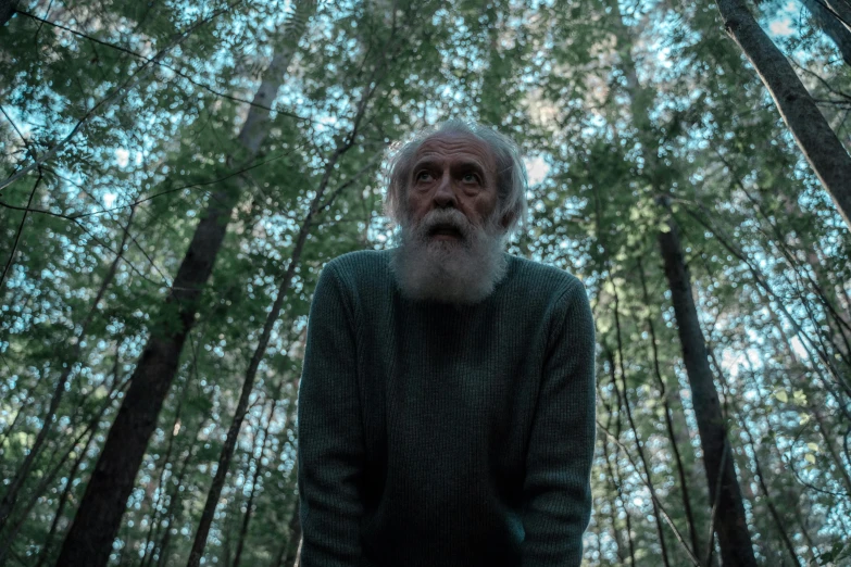 man standing in a forest looking up from the trees