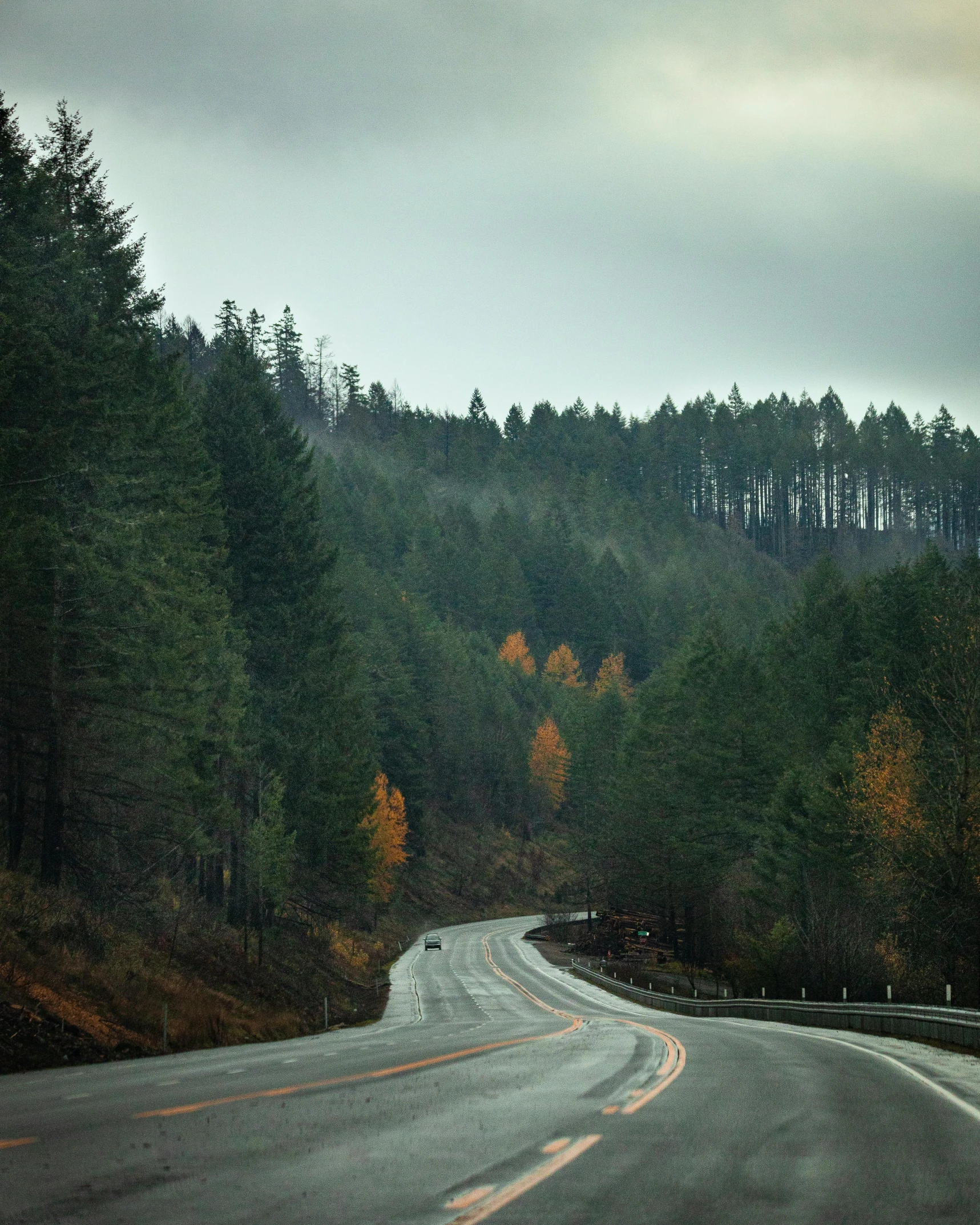 a lonely road going through the woods in front of the trees