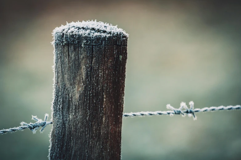 a piece of barbed wire next to a barbed wire fence