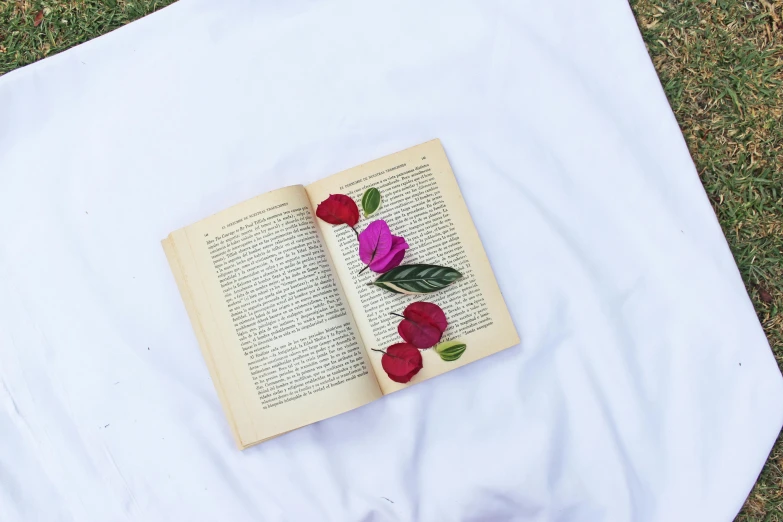 a open book with two flowers on a white cloth