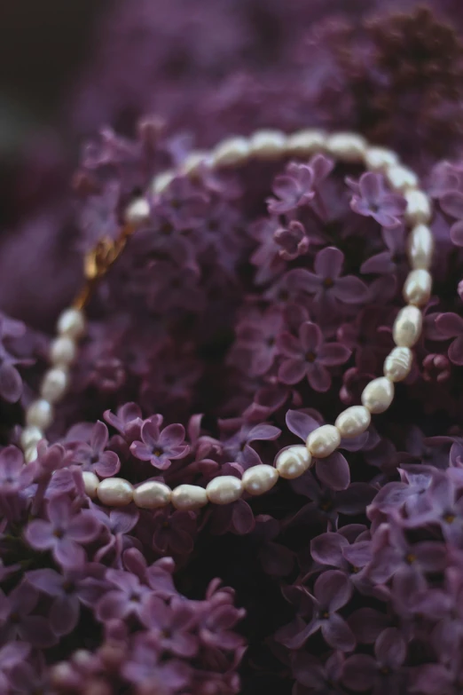 a strand of beads sits on the purple flowers