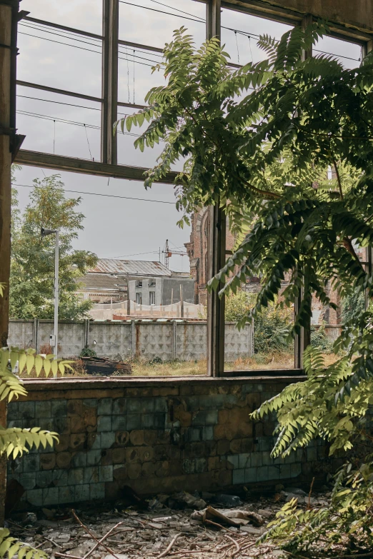 view from an abandoned building looking across the garden and buildings