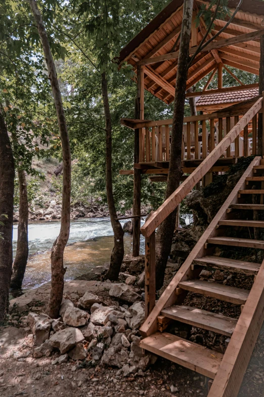 stairs lead up to the tree house which is built over rocks and bushes