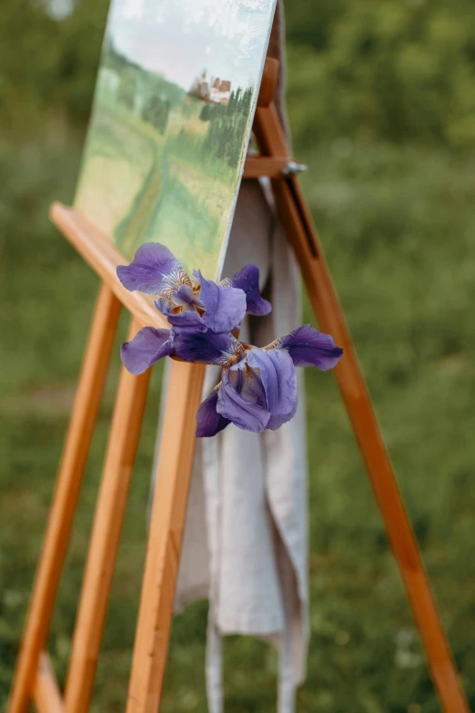 purple irises sitting in front of easel on grassy field