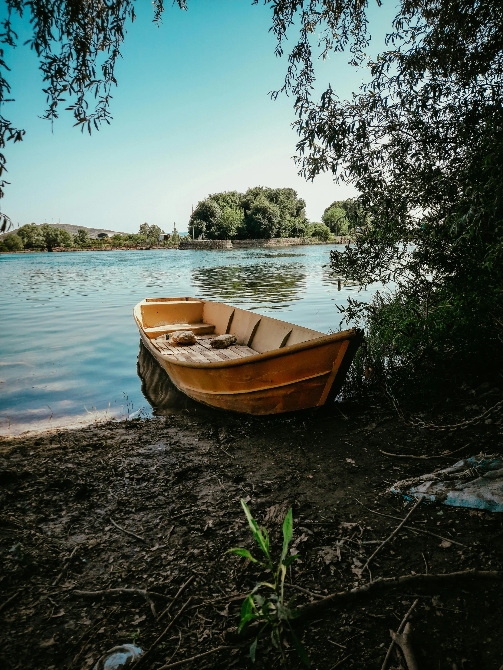 a boat rests next to the shore as a tree leans in