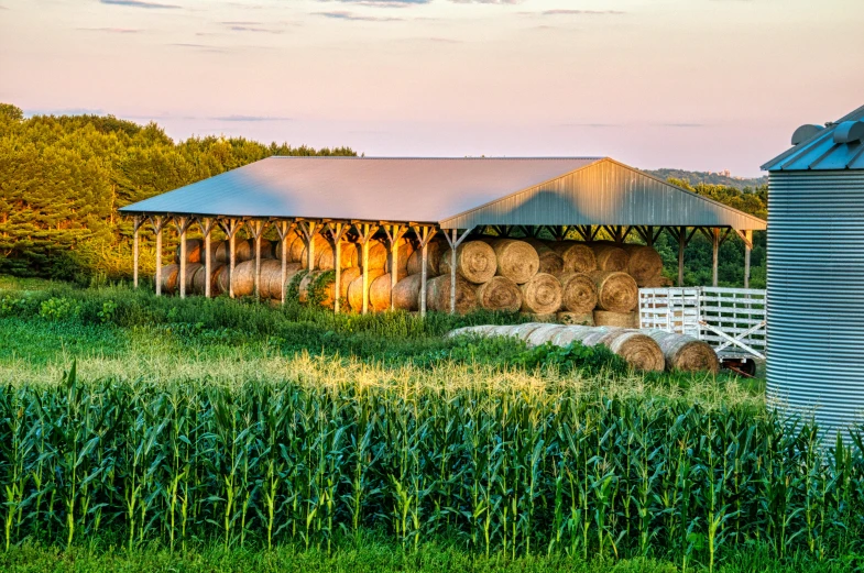 two silos near an outbuilding that is covered with hay