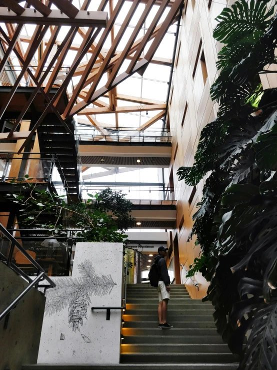 a person is walking up stairs toward a plant filled building