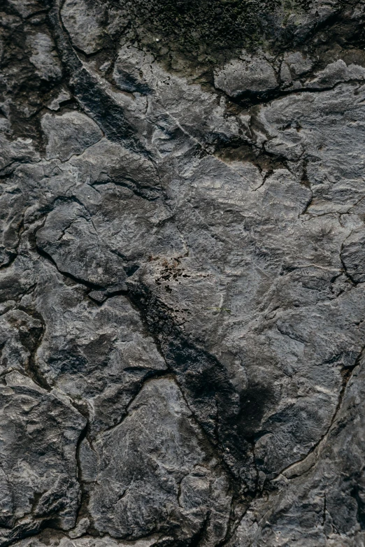 the texture of a rock is shown here