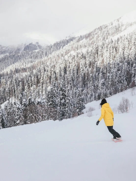 a person skiing down a snowy mountain with mountains in the background