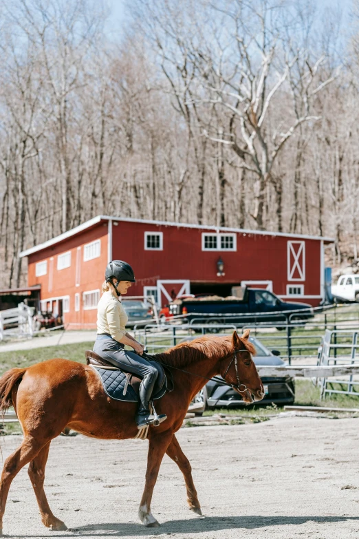 a young woman riding a brown horse in a field