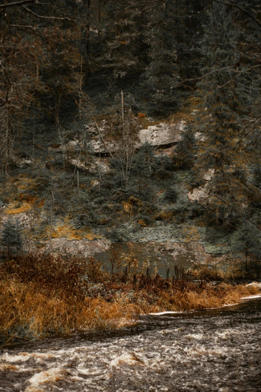 a man with an umbrella stands on a shore