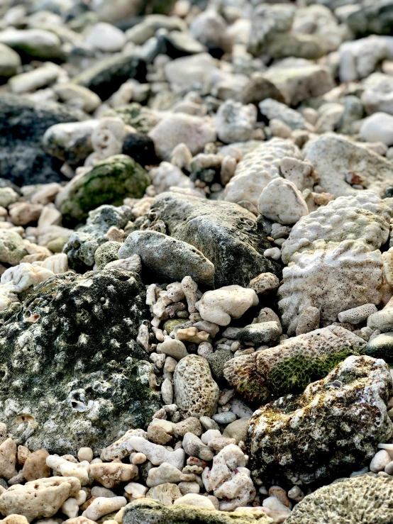 several rocks with some dirt and rocks and one of them has green moss