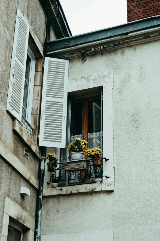 some yellow flowers on an open window and a building