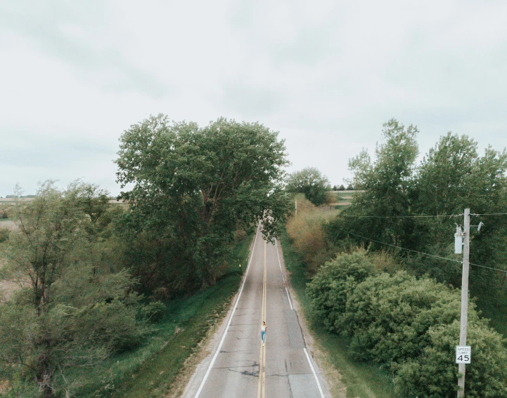 a long stretch of road surrounded by trees and bushes