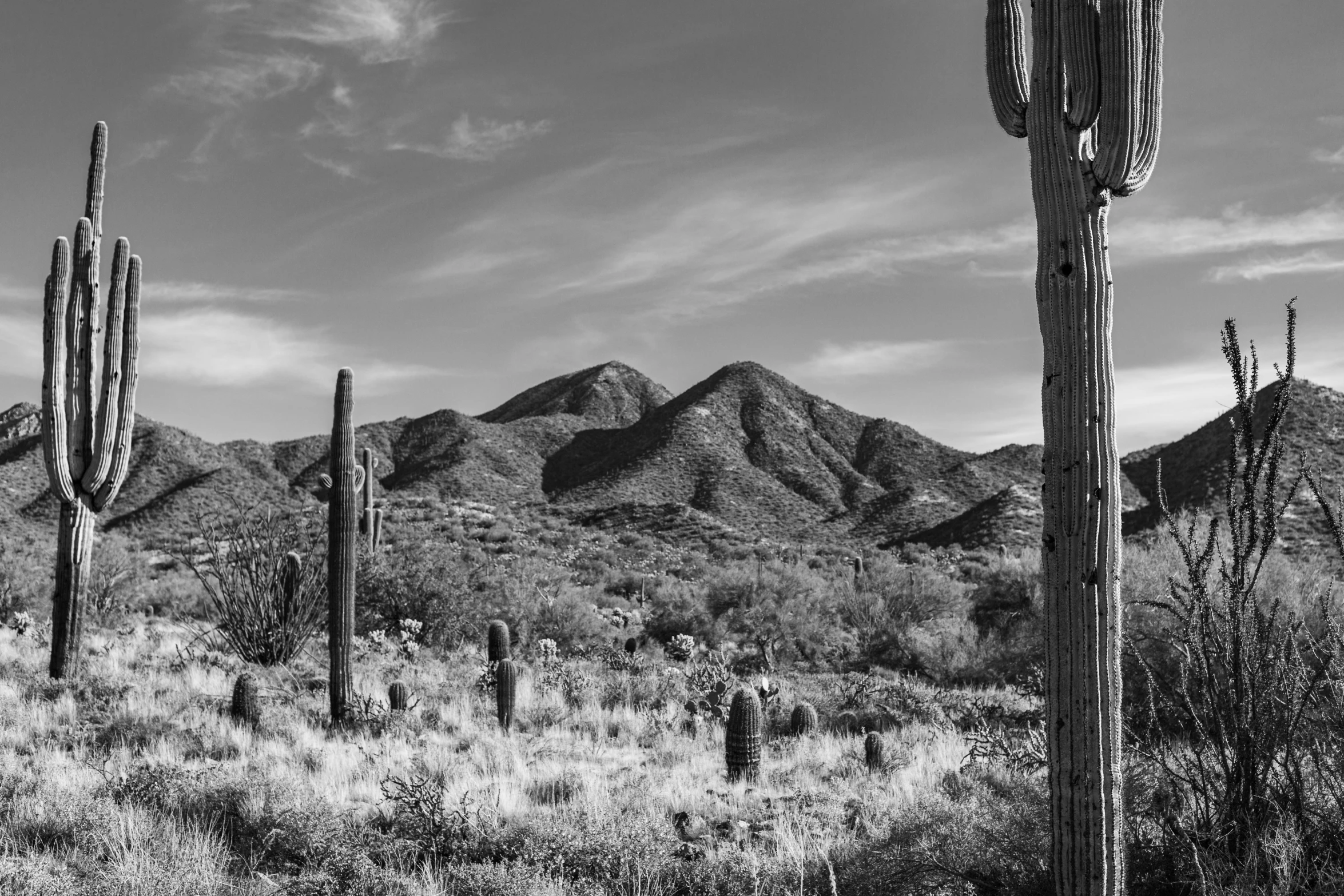 black and white pograph of a mountain landscape