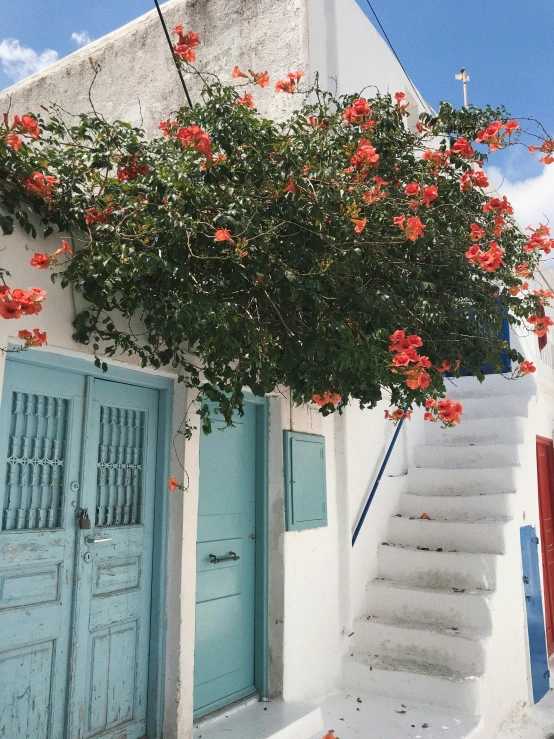 an image of stairs and steps with flowers on them