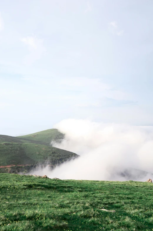 two sheep standing on top of a grassy hill