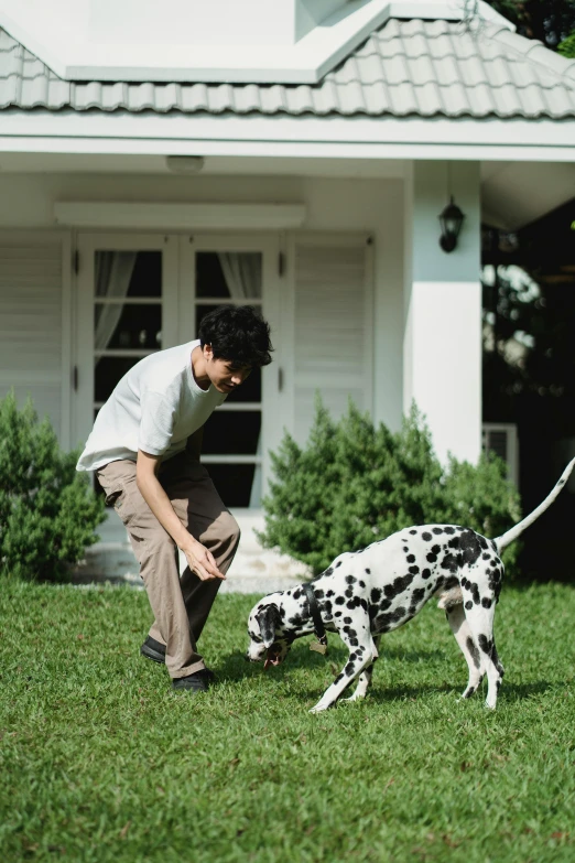 a person bending over while holding a dalmatian's leash