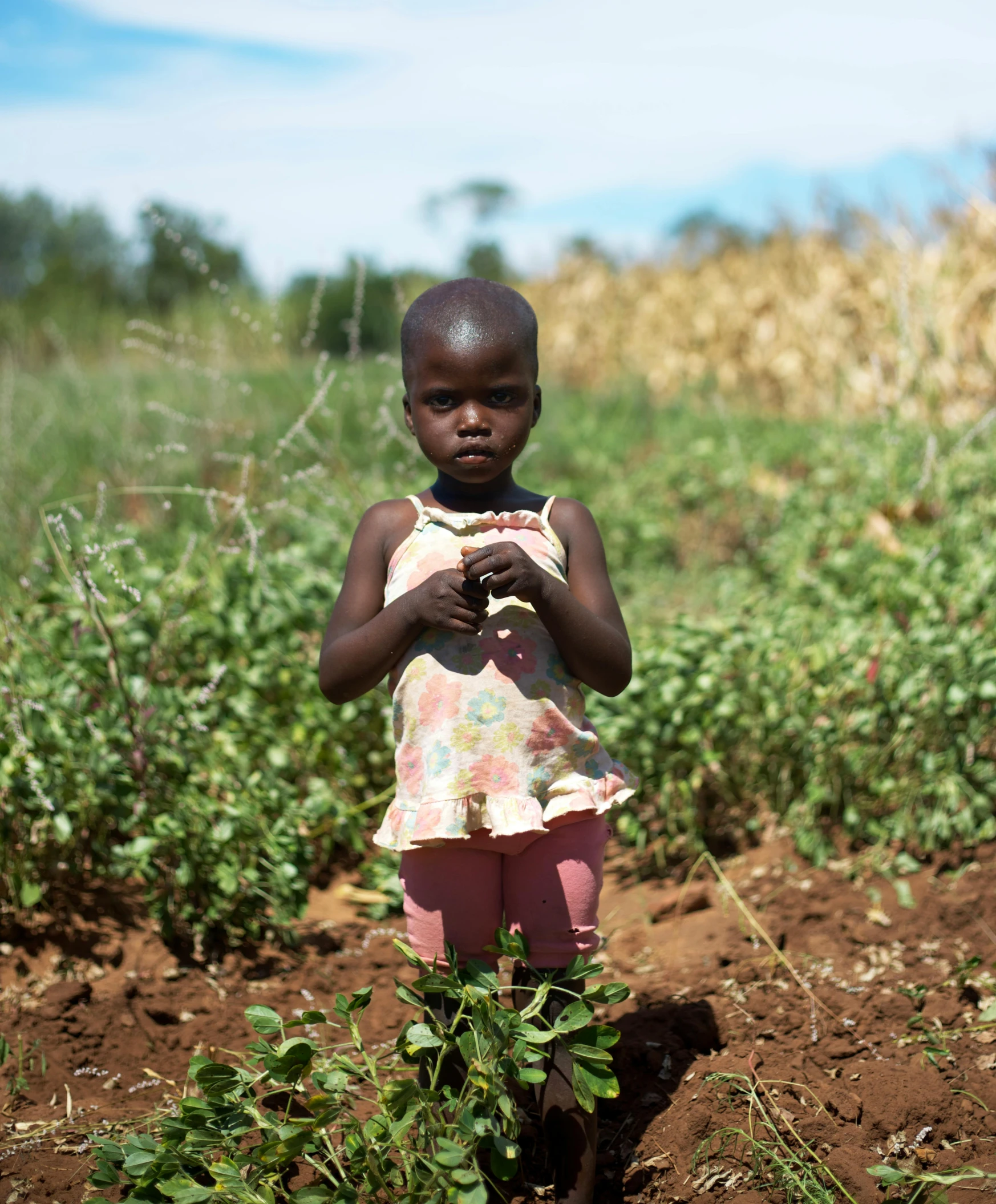 a child is standing on a brown dirt field