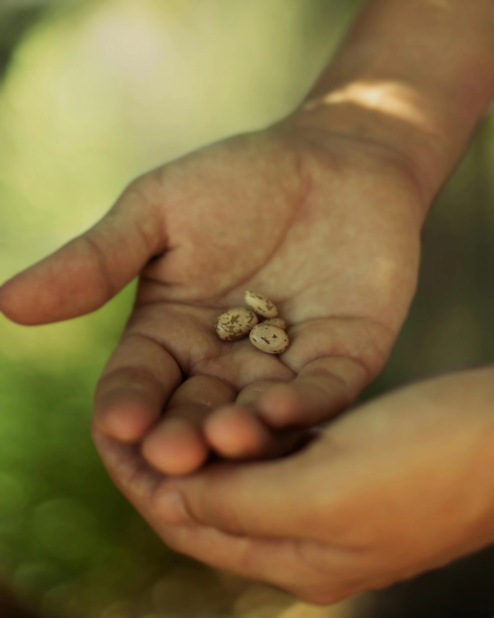 a persons hand holding a handful of peanuts