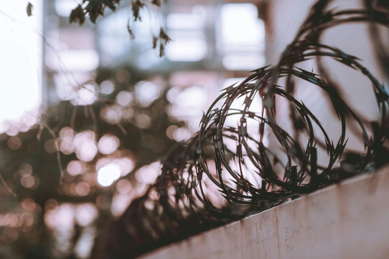 a bunch of barbed wires hanging on the side of a fence