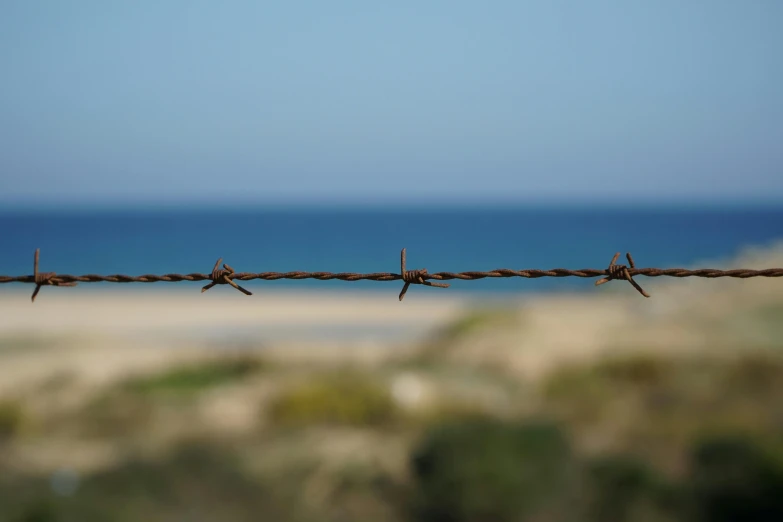 a barbwire fence with two little birds on it