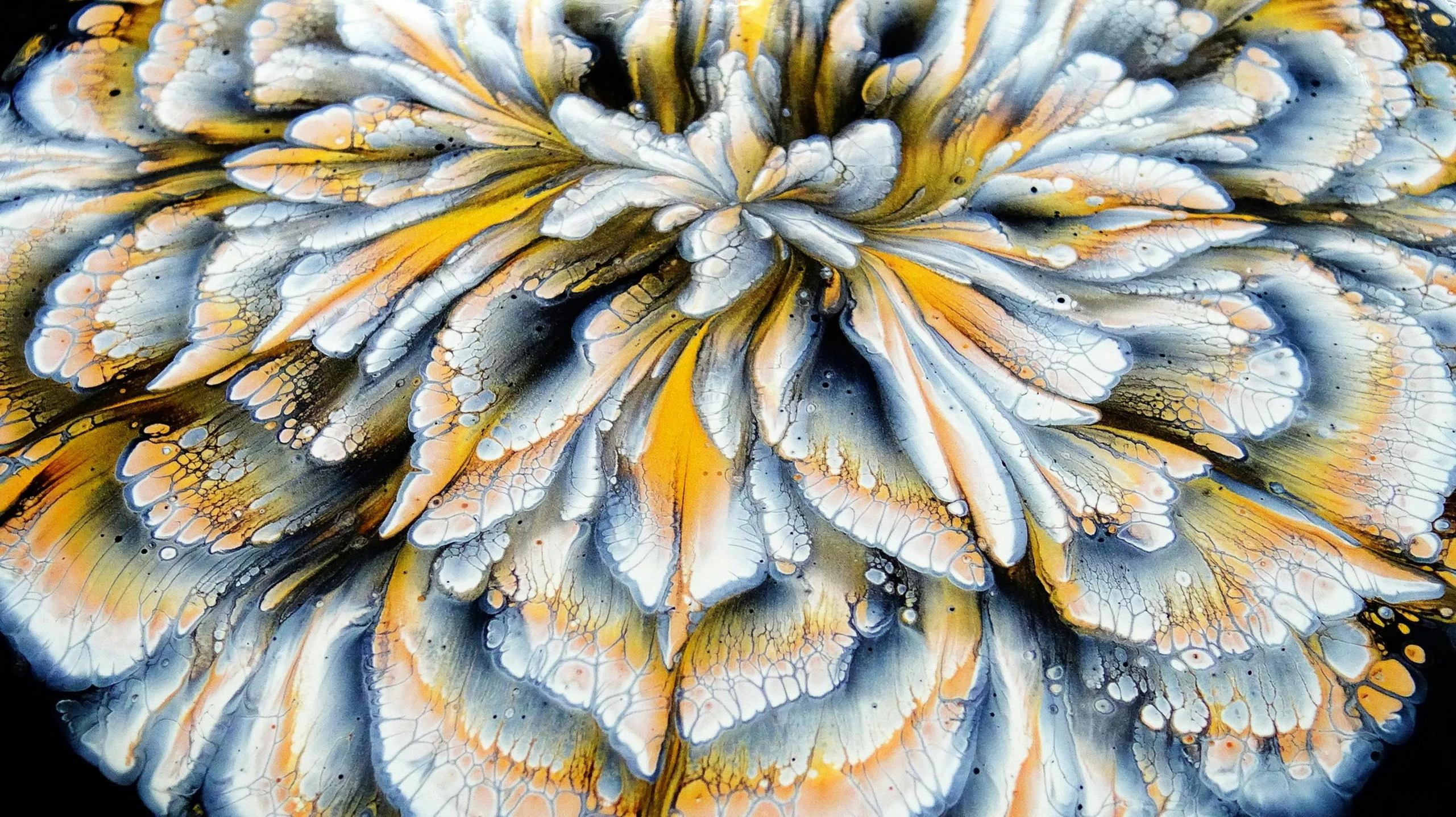 the top half of a plant's leaves with water droplets