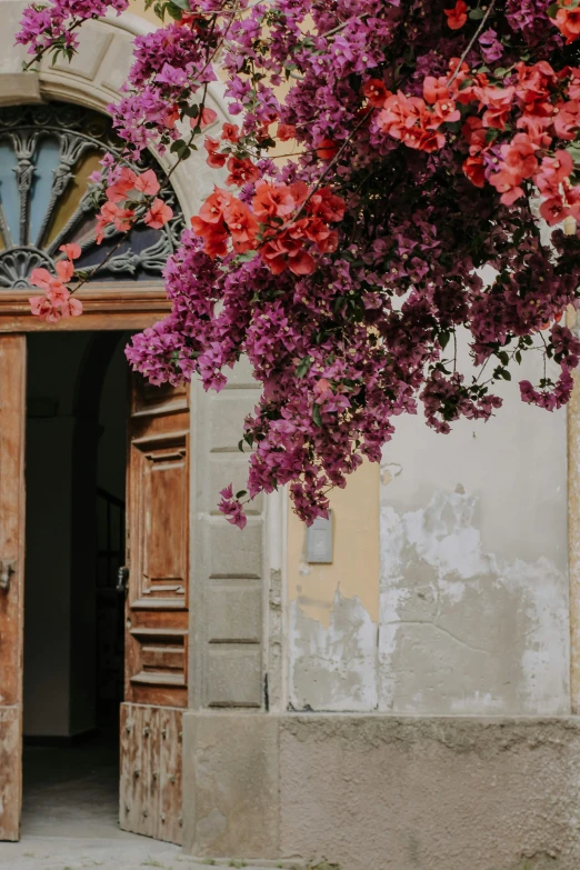 a beautiful hanging flower filled archway in a village