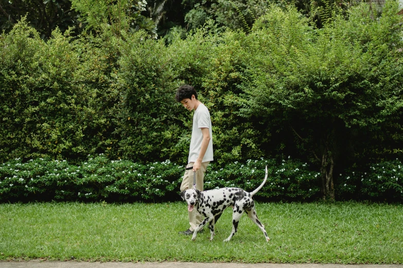 young man walking walking his black and white spotted dog