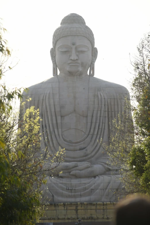 there is a large buddha statue next to a man