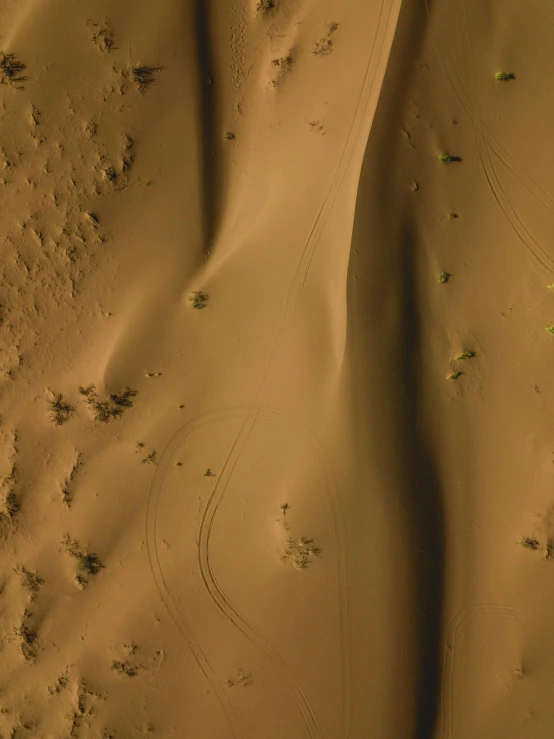 footprints of a person in a desert