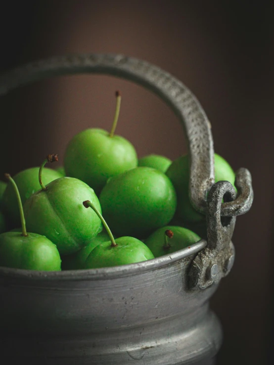 the fruit is in the metal bowl