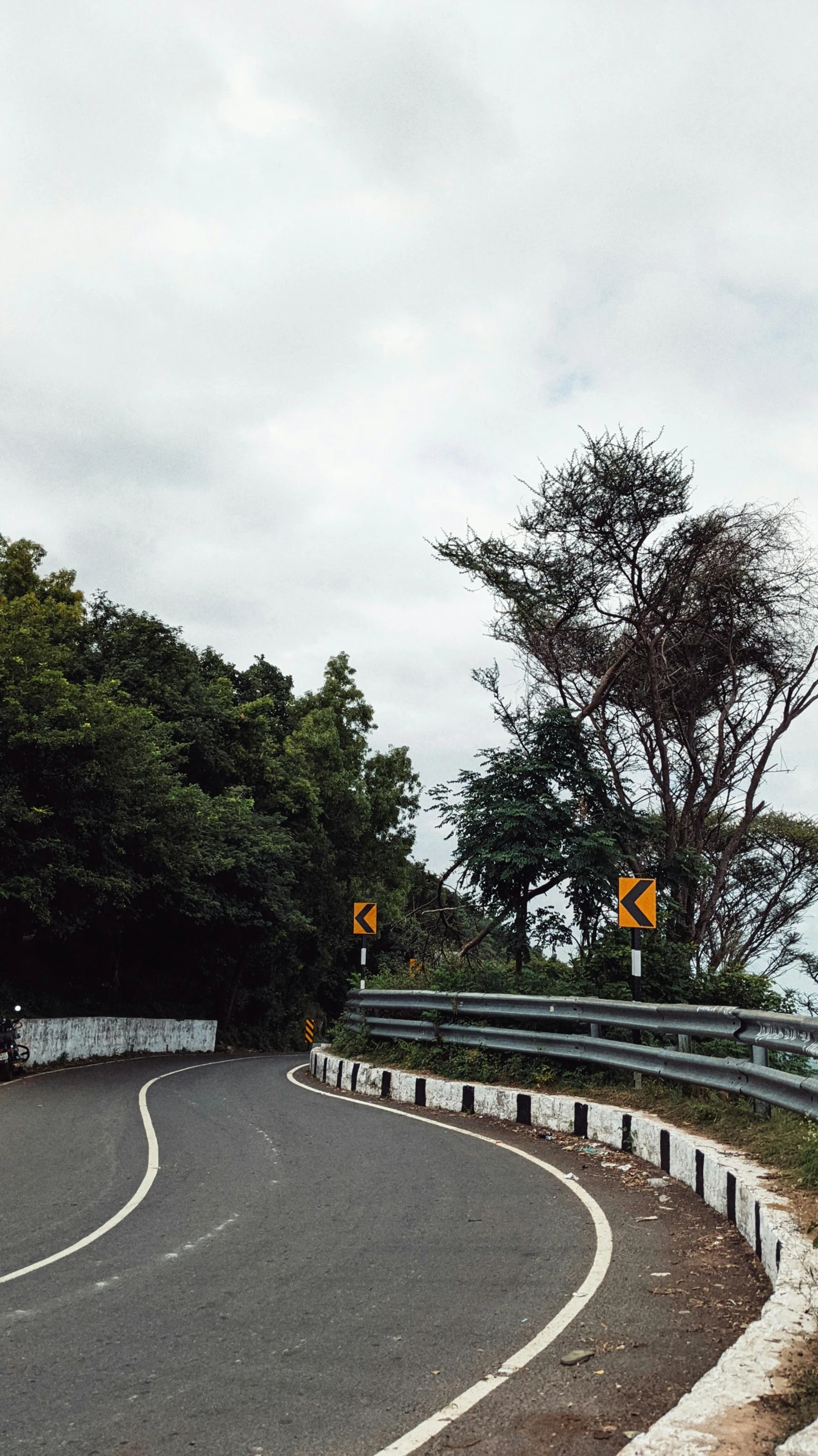 a winding road with two yellow traffic signs on it