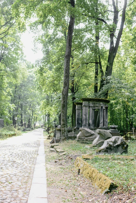a cemetery with old graves is among the trees