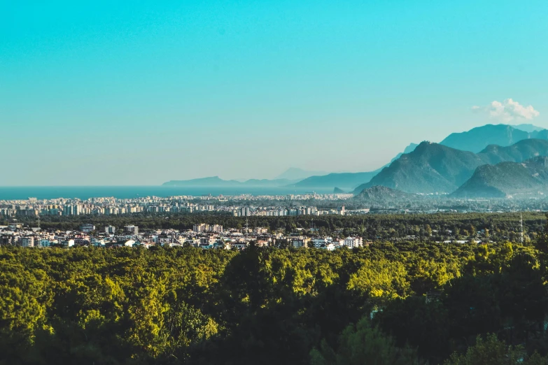 the mountain side with trees and mountains in the background